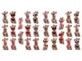 BH Sets Spitze Push Up String Dessous nur 1,99 EUR
