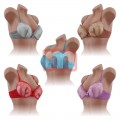 Sexy Push Up BHs Spitze Farbig Cup B je 1,20 EUR
