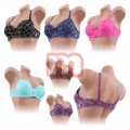 Sexy BH's Spitze Farbig Mix Gr. 80B-100B je 1,95 EUR
