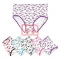 Damen Slips Unterwäsche Mix Gr. XL-4XL je 0,85 EUR