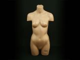 Torso Büste Body Frau Hautfarbe für 22,- EUR