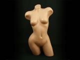 Torso Büste Body Frau Hautfarbe für 22,- EUR