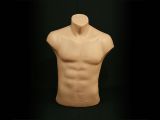 Torso Büste Body Mann Hautfarbe für 19,- EUR
