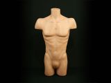Torso Büste Body Mann Hautfarbe für 22,- EUR