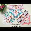 Sexy Damen Slips Unterwäsche Mix Gr. S-XL je 0,75 EUR