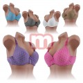 Sexy Push Up BHs Spitze Farbig Cup C je 1,30 EUR