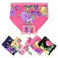 Damen Slips Unterwäsche Mix Gr. XL-4XL je 0,85 EUR