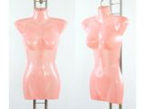 Torso Büste Body Frau Hautfarbe für 6,90 EUR
